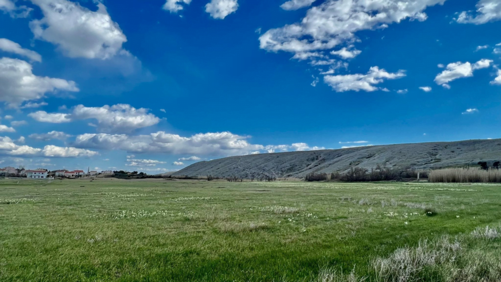 Pag Vlašići priroda