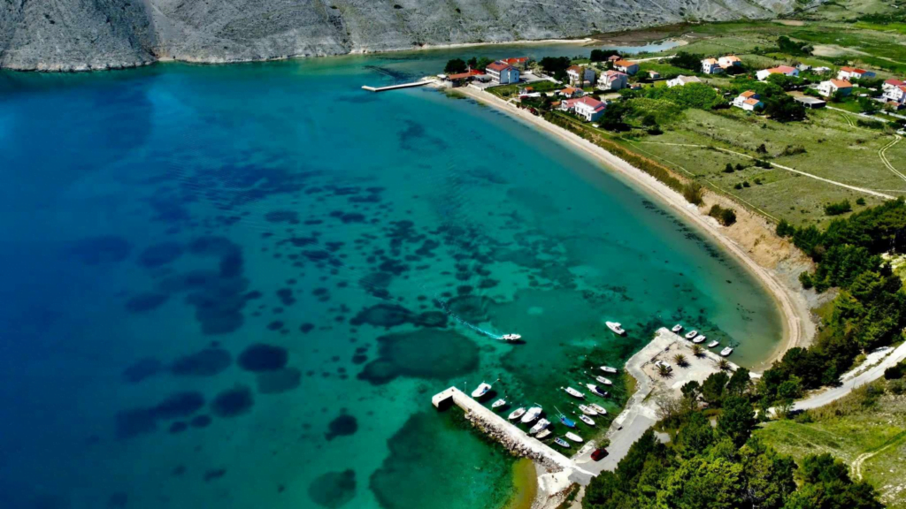 Banner-Ajmo-Vlasici-1920x1080-2